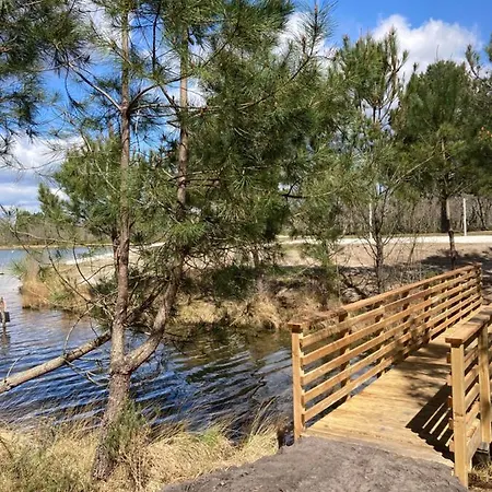 Шале 10 Chaleureux Confort Dans Domaine Avec Piscine Au Coeur Des Landes Bord De Avec Amenagee *